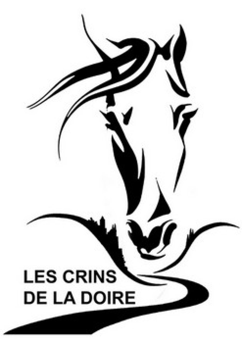 LES CRINS DE LA DOIRE SAINT CERNIN CANTAL